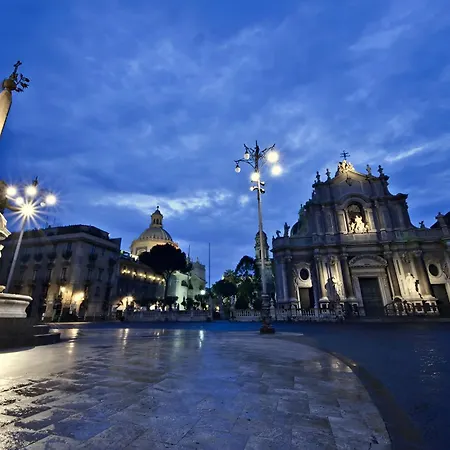 Chicchi Catania
